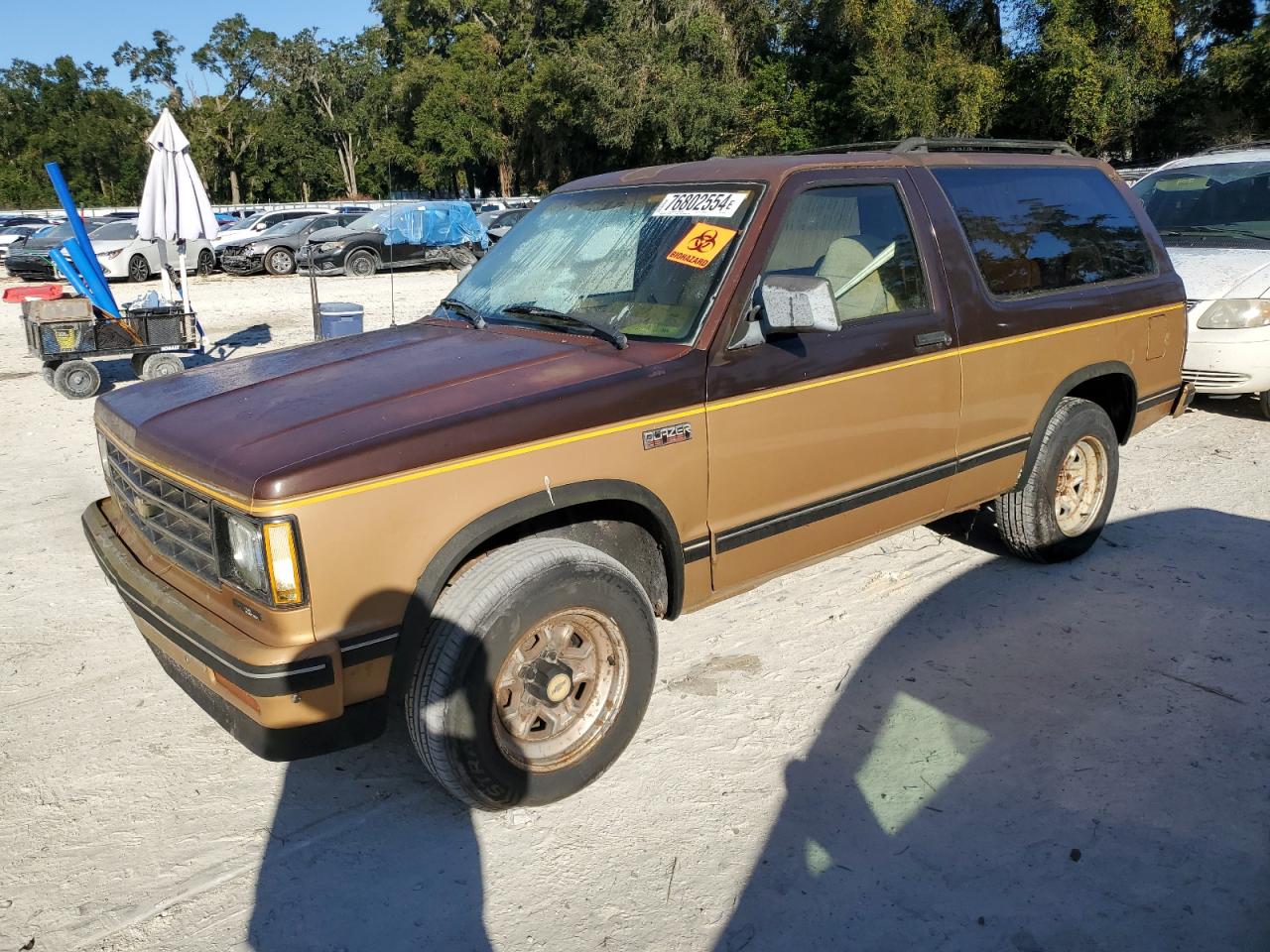 1988 Chevrolet Blazer S10 VIN: 1GNCS18R1J0106286 Lot: 76802554