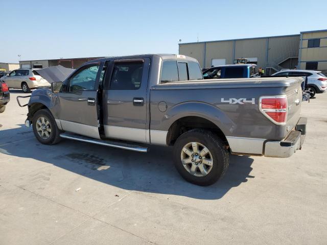 Pickups FORD F-150 2013 Szary