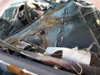 2007 Honda Civic Lx na sprzedaż w Haslet, TX - All Over