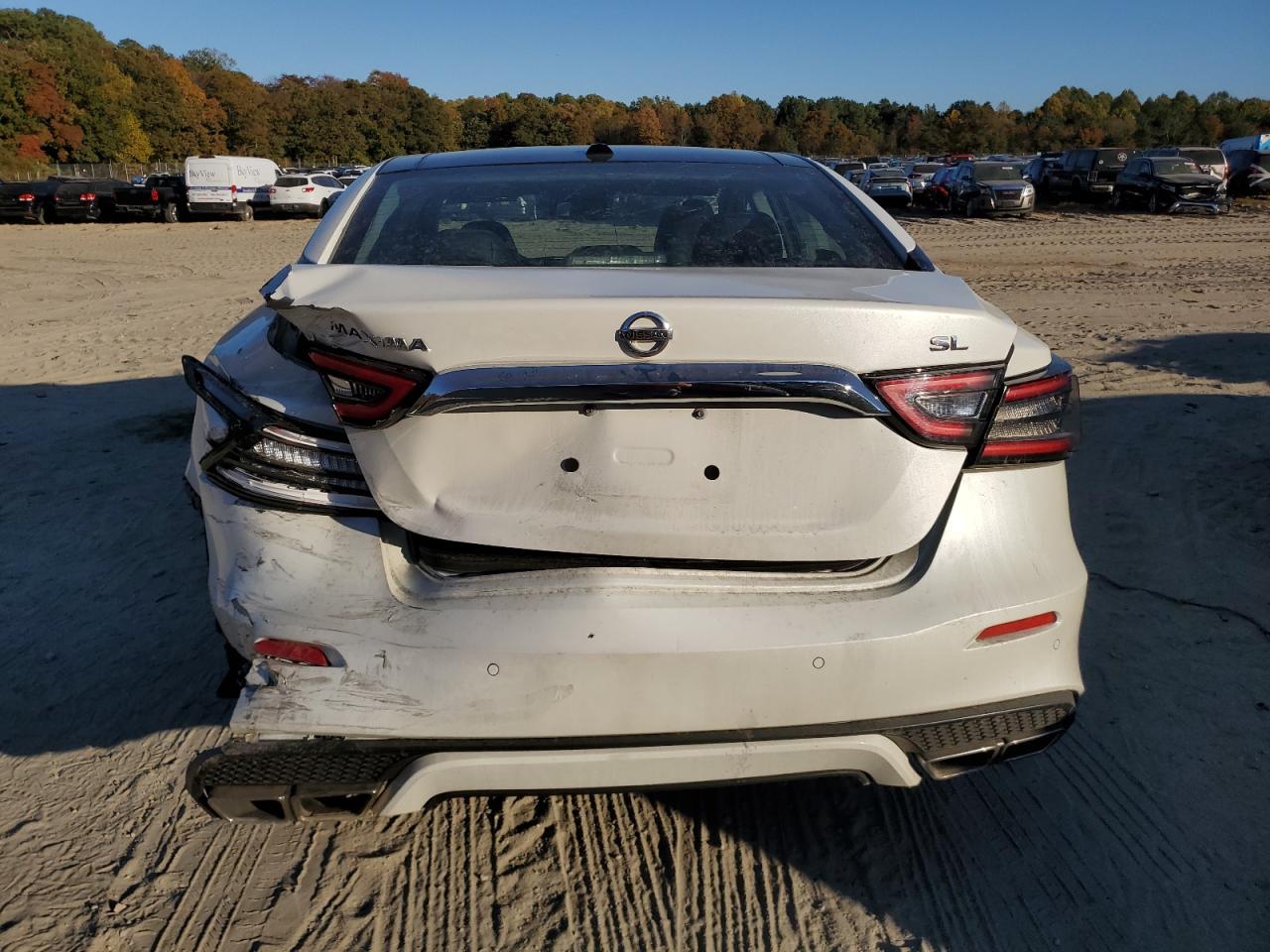 2020 Nissan Maxima Sl VIN: 1N4AA6DV8LC380014 Lot: 77048124