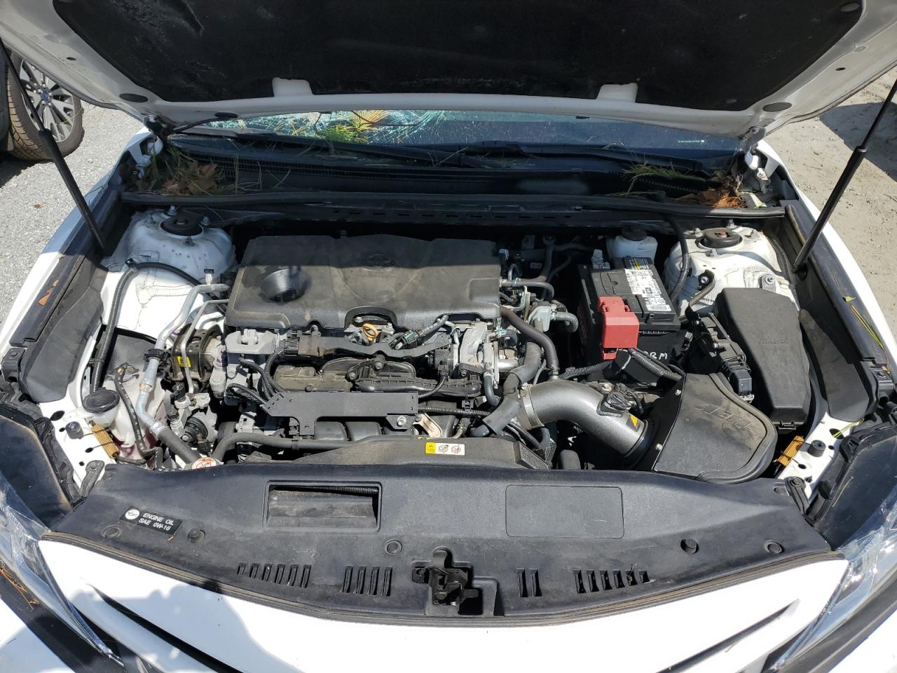 4T1B11HK2KU191929 2019 Toyota Camry L