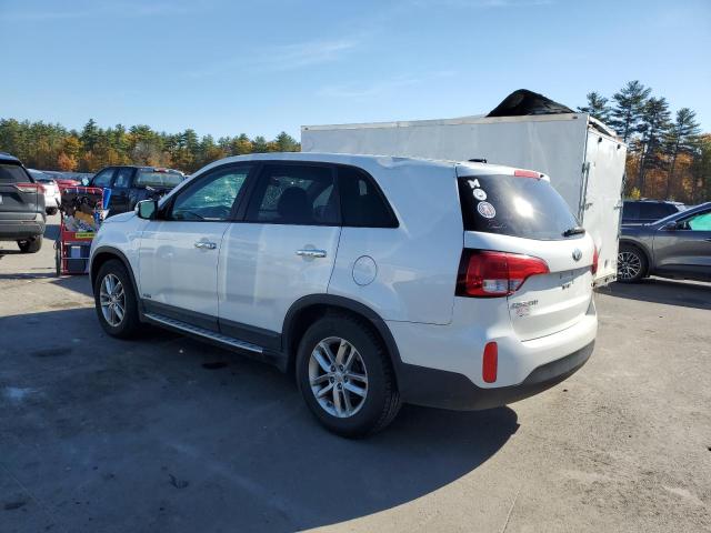  KIA SORENTO 2015 White