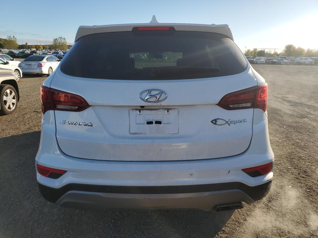 2017 Hyundai Santa Fe Sport VIN: 5XYZU3LB5HG454163 Lot: 75171104