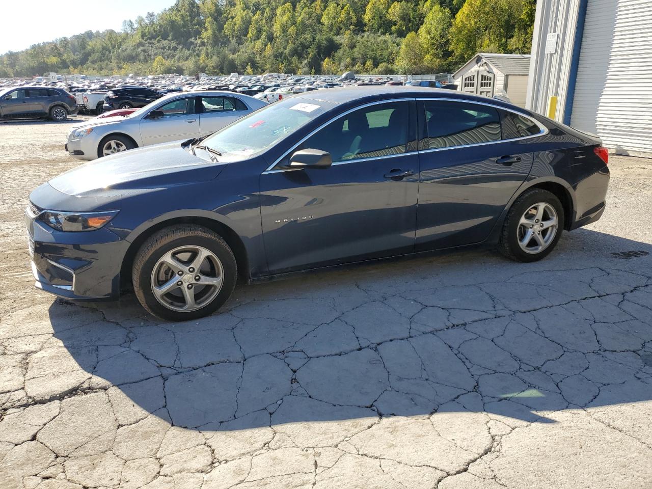 Chevrolet Malibu