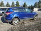 2015 Ford Escape Se for Sale in Albany, NY - Normal Wear