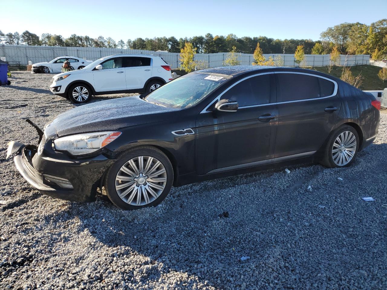 2015 Kia K900 VIN: KNALU4D46F6027079 Lot: 76315024