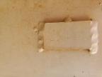 2023 Dppi Ut for Sale in Savannah, GA - Normal Wear