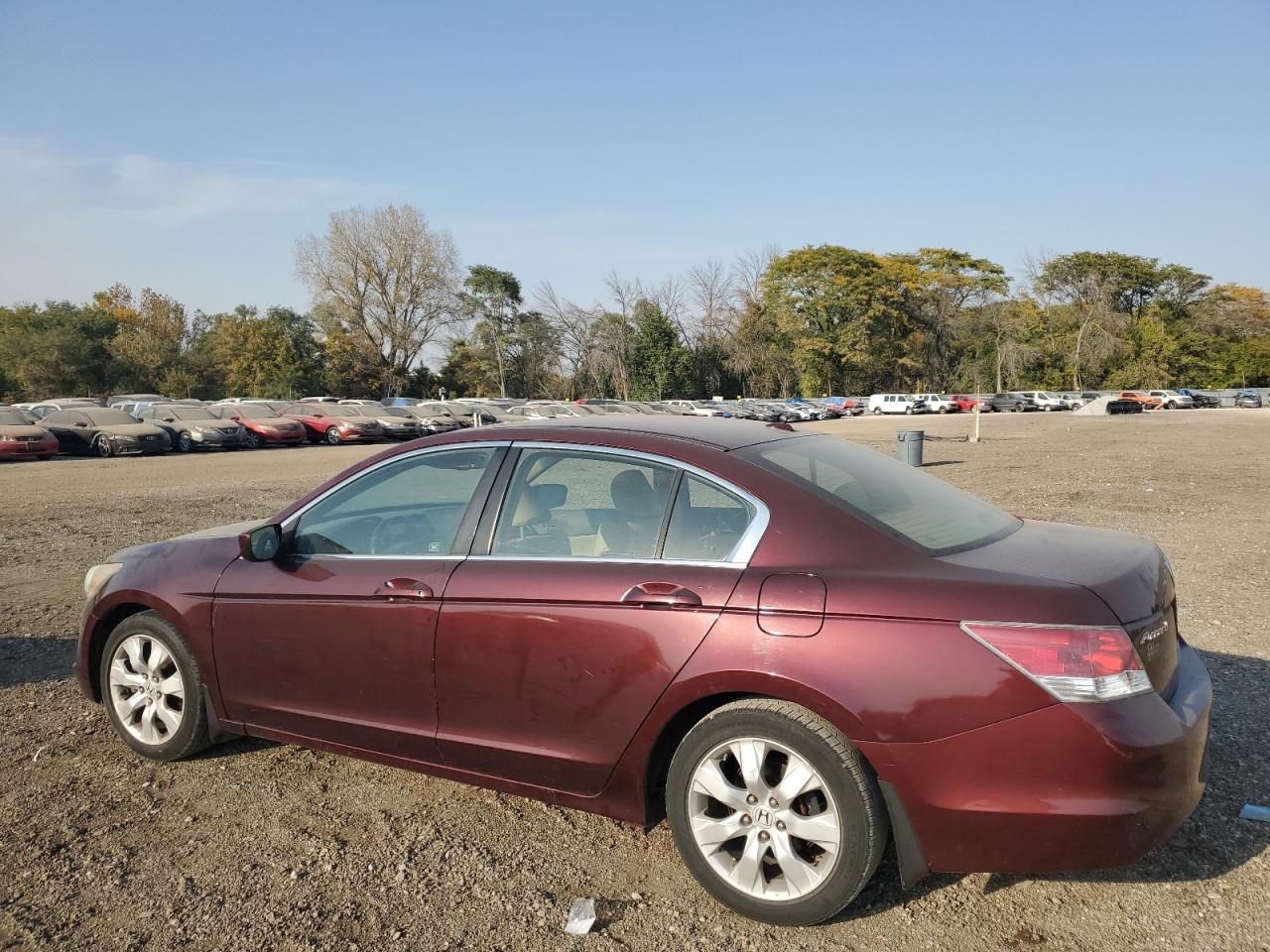 2010 Honda Accord - Image 2
