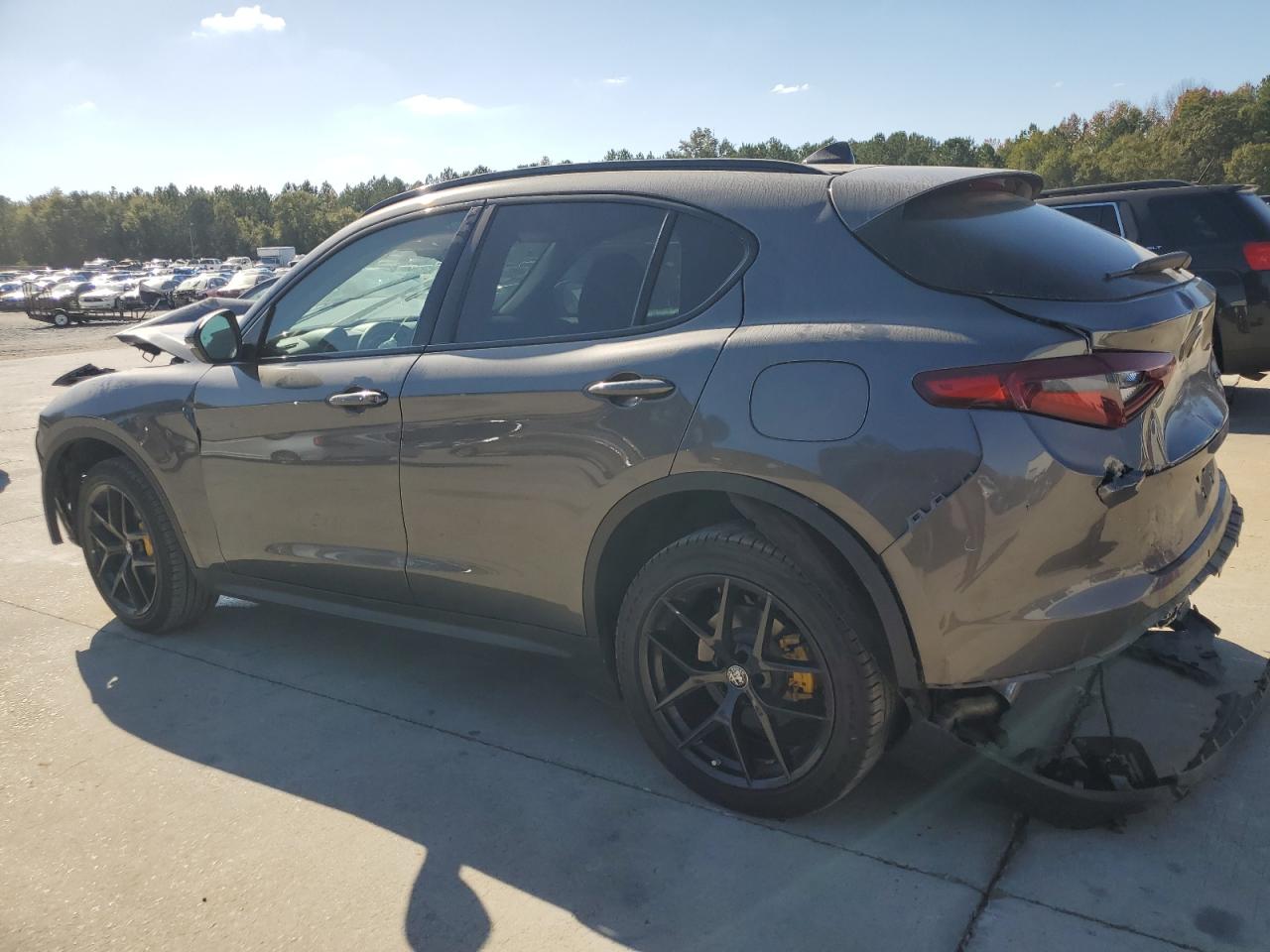 2019 Alfa Romeo Stelvio - Image 2