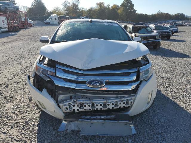  FORD EDGE 2014 White