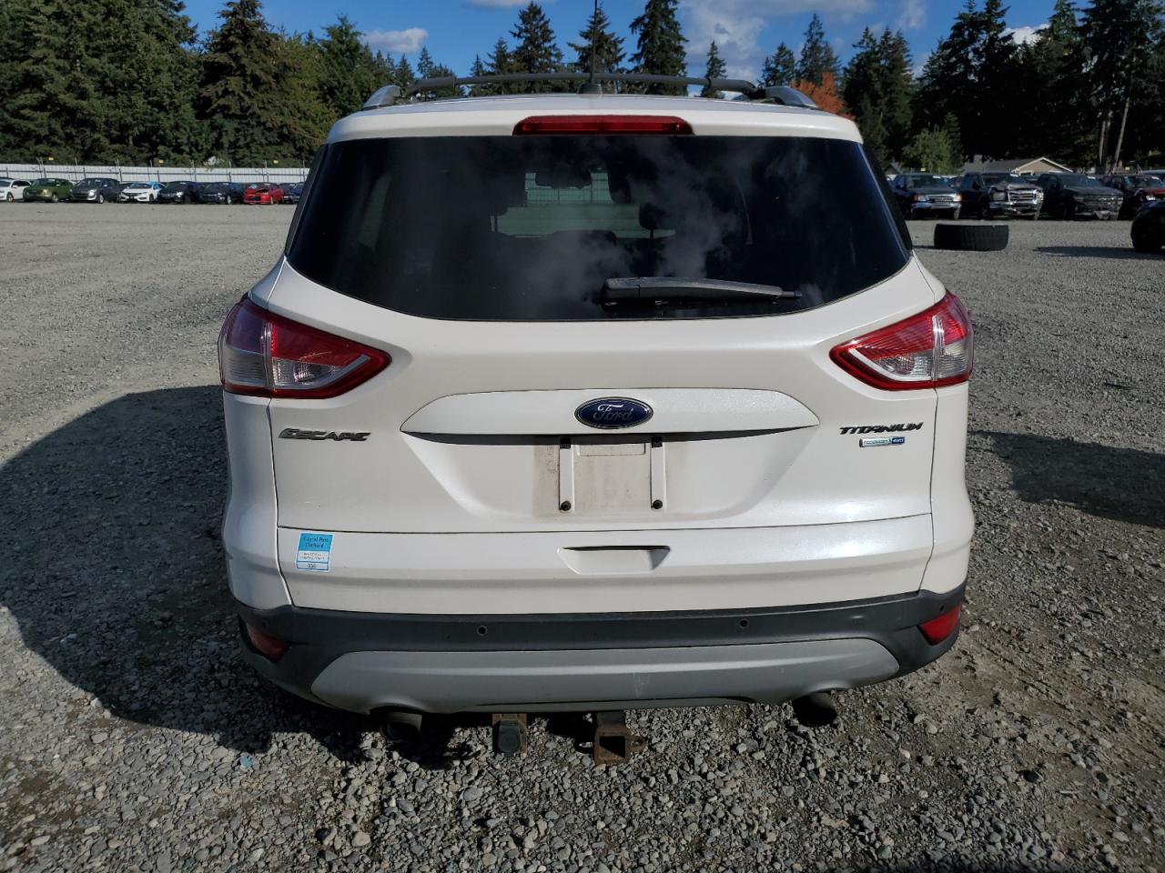 2013 Ford Escape Titanium VIN: 1FMCU9J97DUD78250 Lot: 75638864