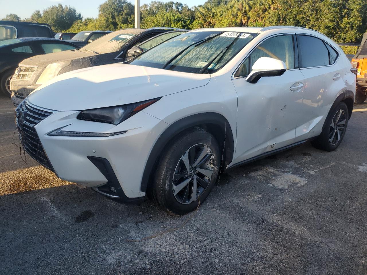 2020 LEXUS NX