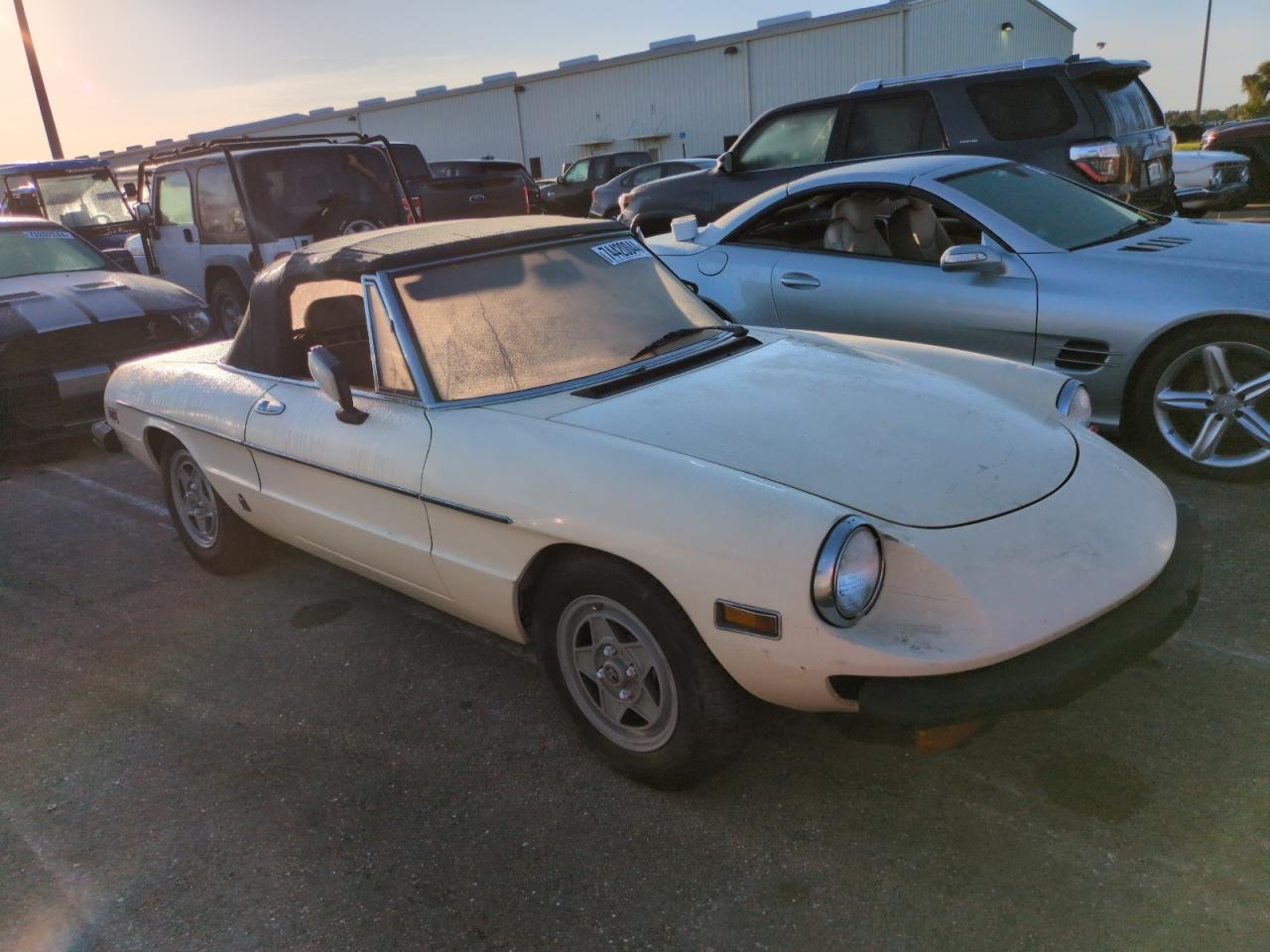 1982 Alfa Romeo Giulia - Image 4