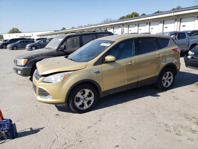  FORD ESCAPE 2014 Gold