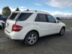 MERCEDES-BENZ ML 500 photo