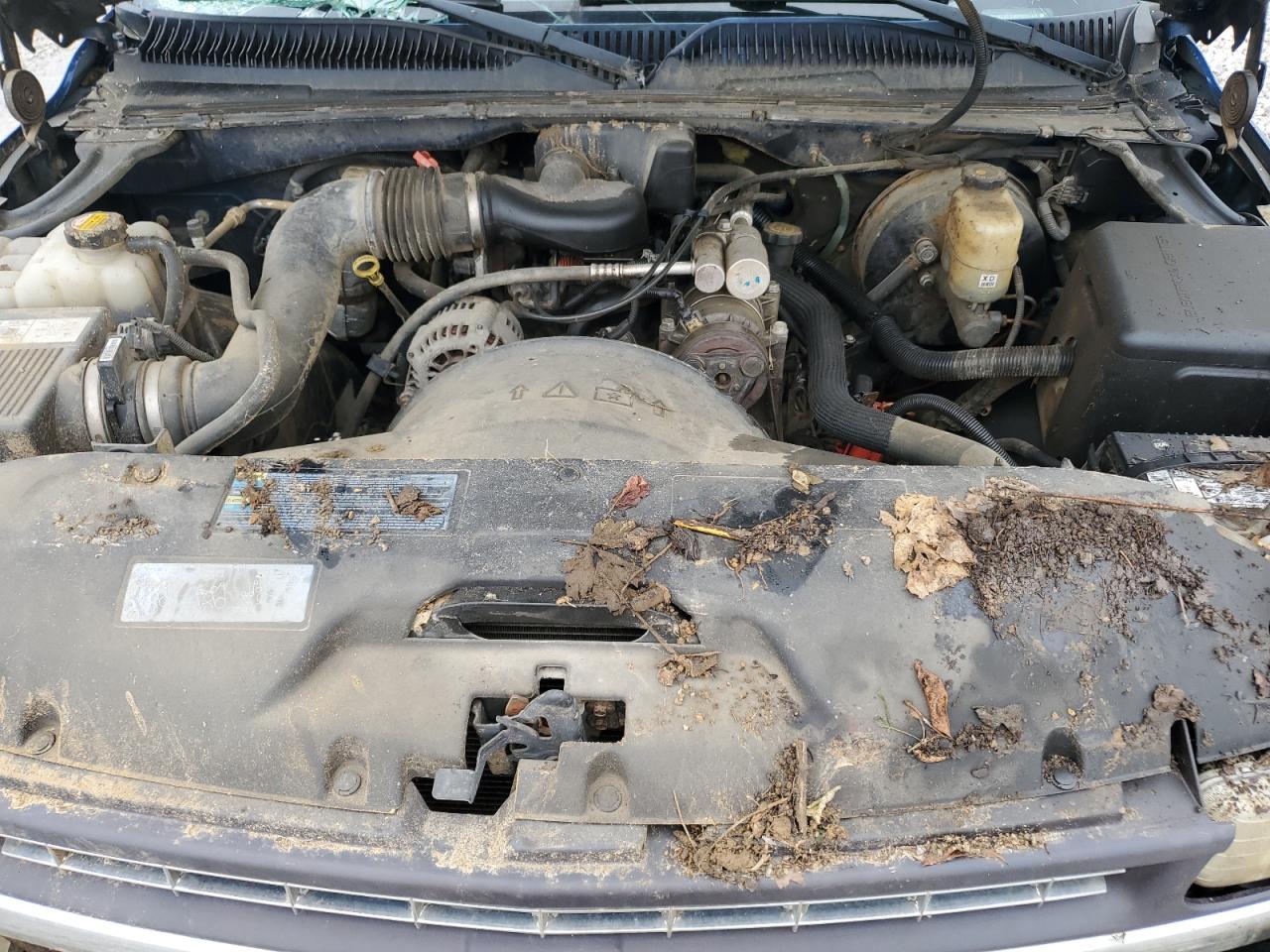 2002 Chevrolet Silverado C1500 VIN: 2GCEC19W421125987 Lot: 73111954