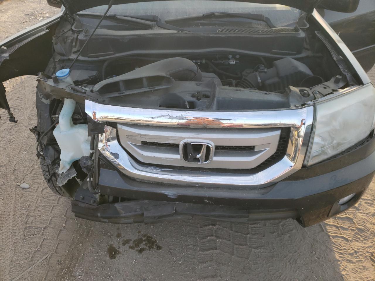 2009 Honda Pilot Exl VIN: 5FNYF48569B030742 Lot: 75222394