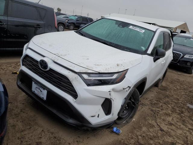 TOYOTA RAV4 LE 2024