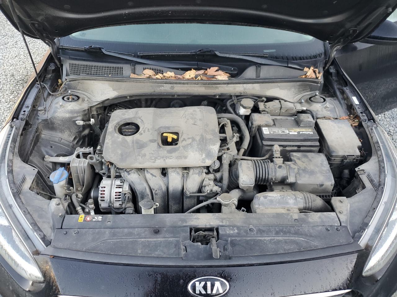 2019 Kia Forte Fe VIN: 3KPF24AD9KE031514 Lot: 77366324