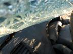 2007 Honda Civic Lx na sprzedaż w Haslet, TX - All Over