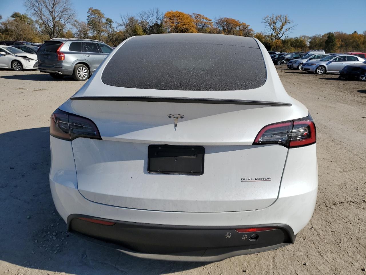 2024 Tesla Model Y VIN: 7SAYGDEF5RA274117 Lot: 77619684