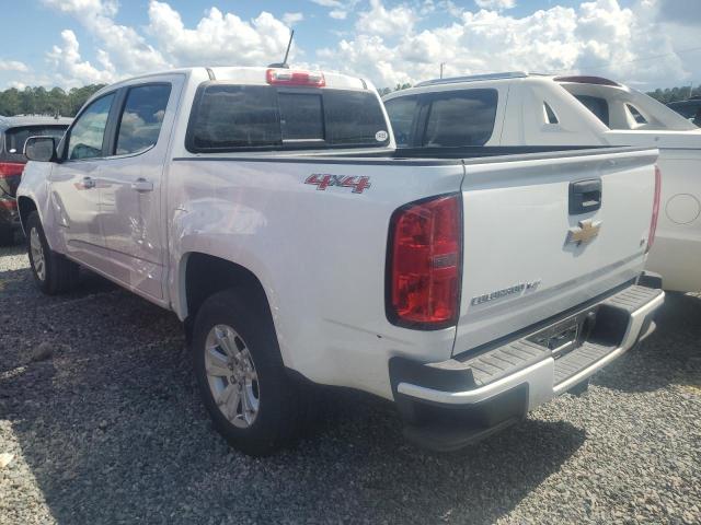 1GCGTCEN0L1226677 Chevrolet Colorado L 2