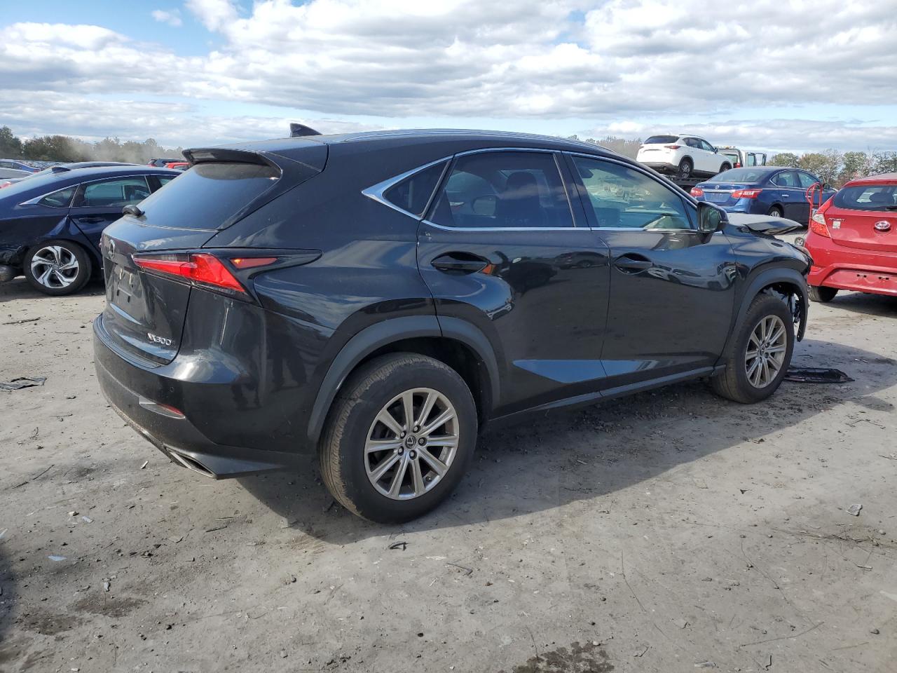 2020 Lexus Nx 300 VIN: JTJDARDZ4L2232120 Lot: 76391614