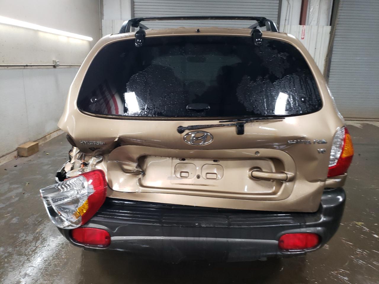 KM8SC13D33U375491 2003 Hyundai Santa Fe Gls