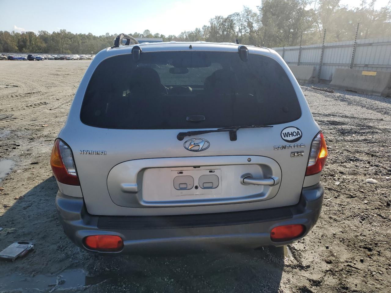 KM8SC13E93U521854 2003 Hyundai Santa Fe Gls