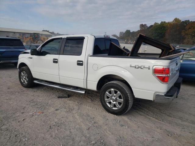  FORD F-150 2013 White