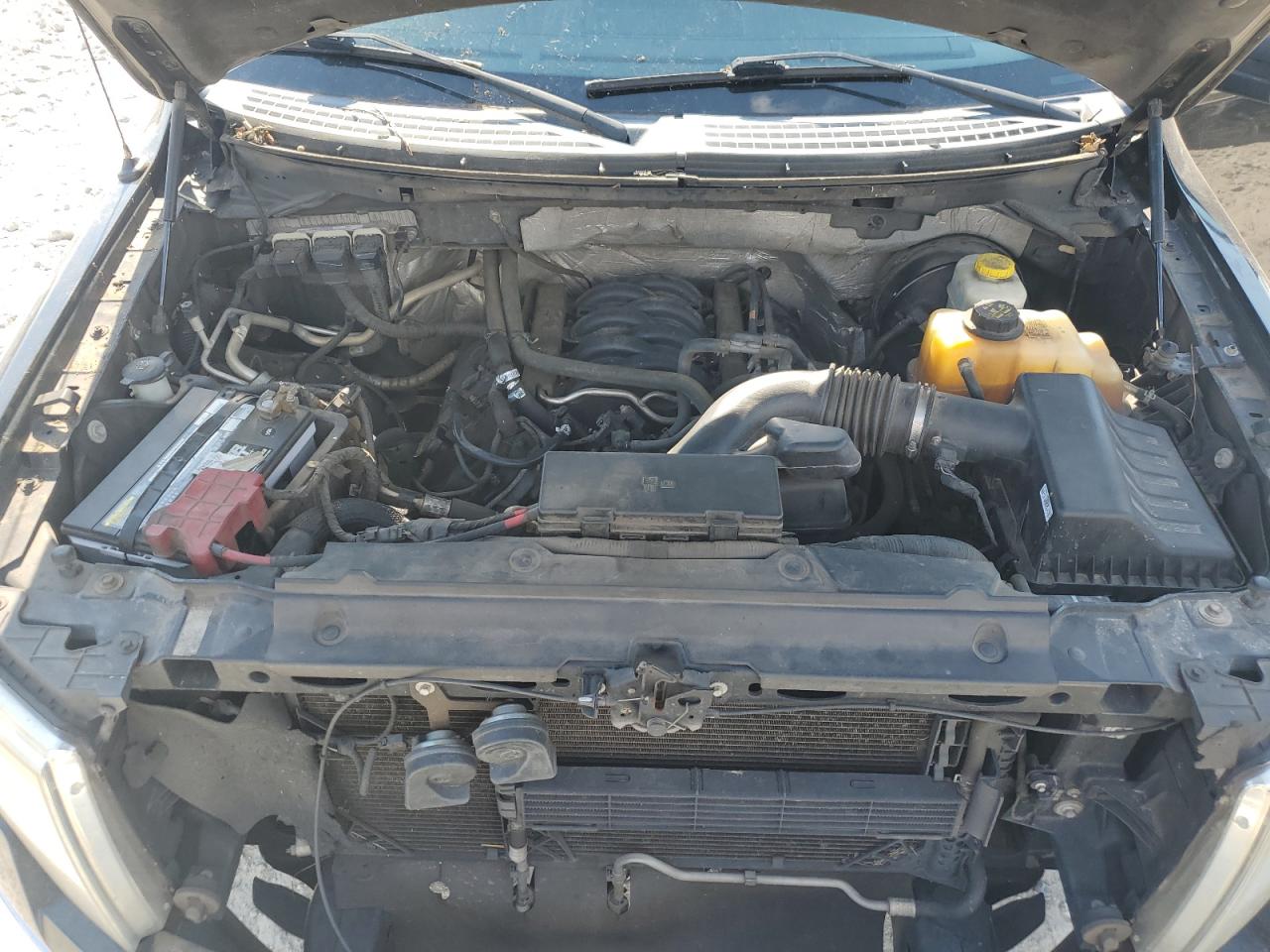 2014 Ford F150 Supercrew VIN: 1FTFW1CF6EKD97014 Lot: 74701594