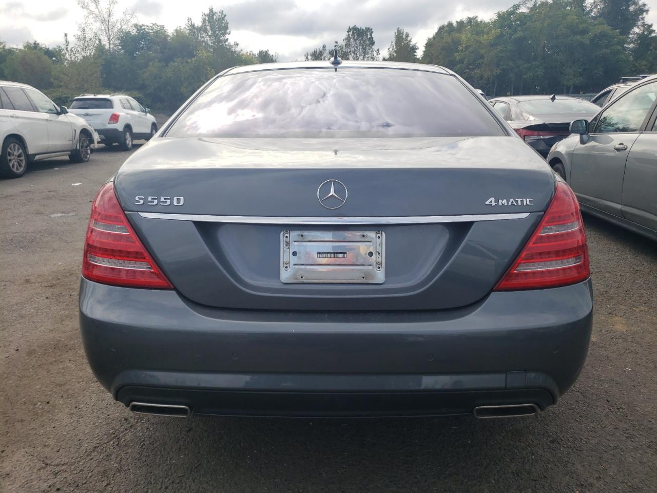 2010 Mercedes-Benz S 550 4Matic VIN: WDDNG8GB1AA359866 Lot: 73024794