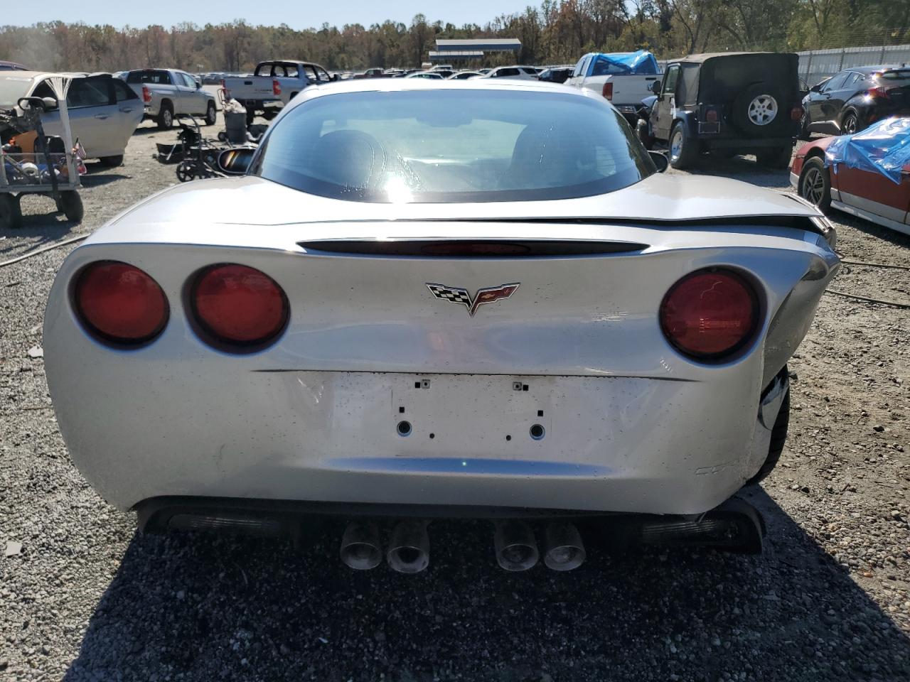 2009 Chevrolet Corvette VIN: 1G1YY26W695102866 Lot: 77631814