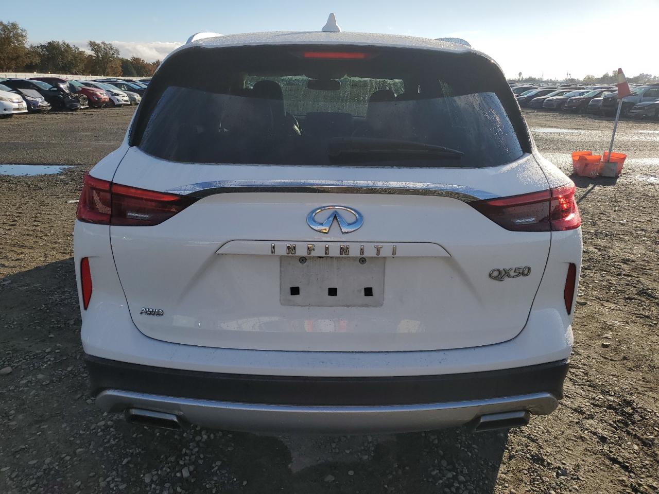 2019 Infiniti Qx50 Essential VIN: 3PCAJ5M34KF116552 Lot: 78533254