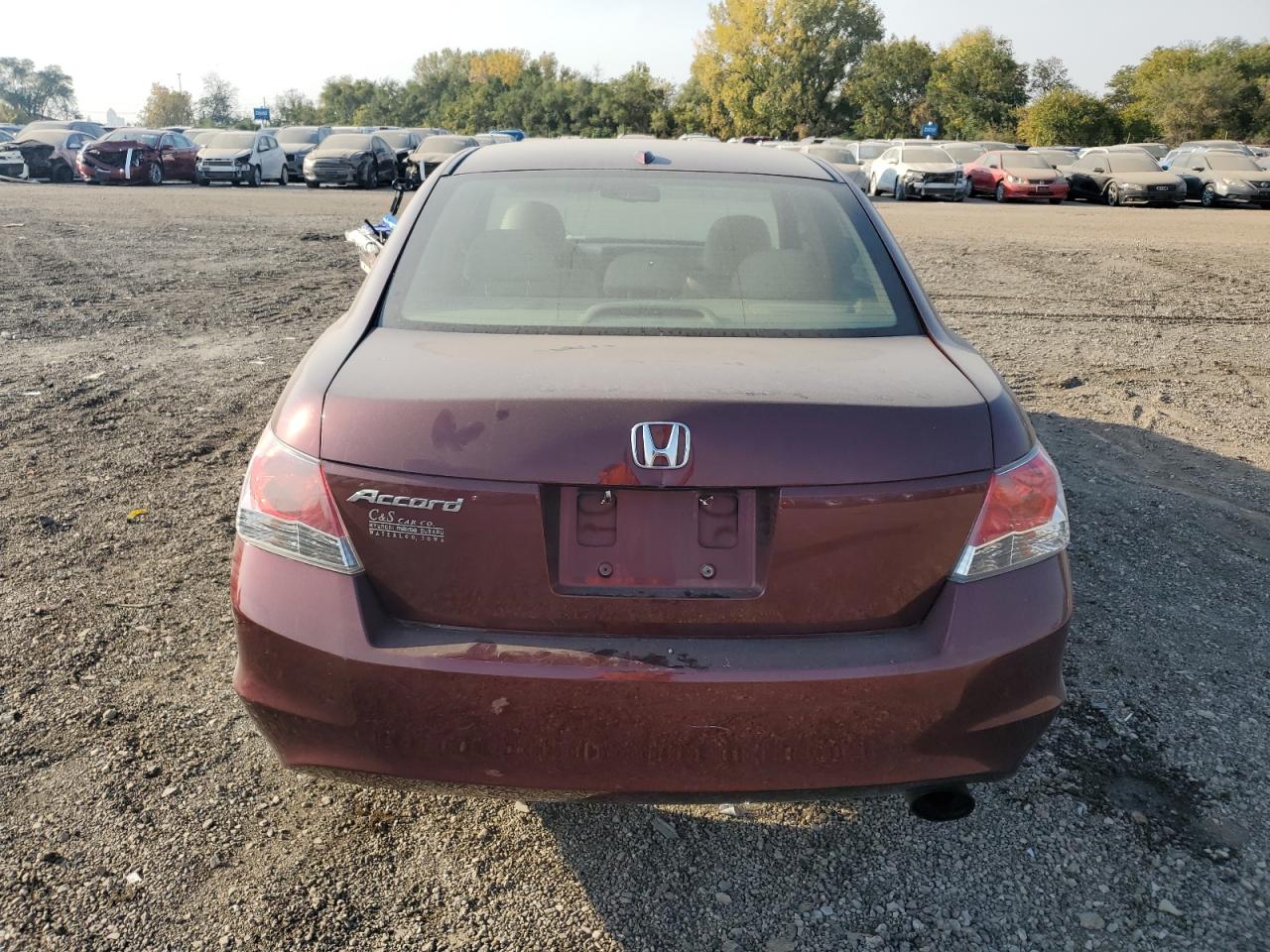 2010 Honda Accord - Image 6