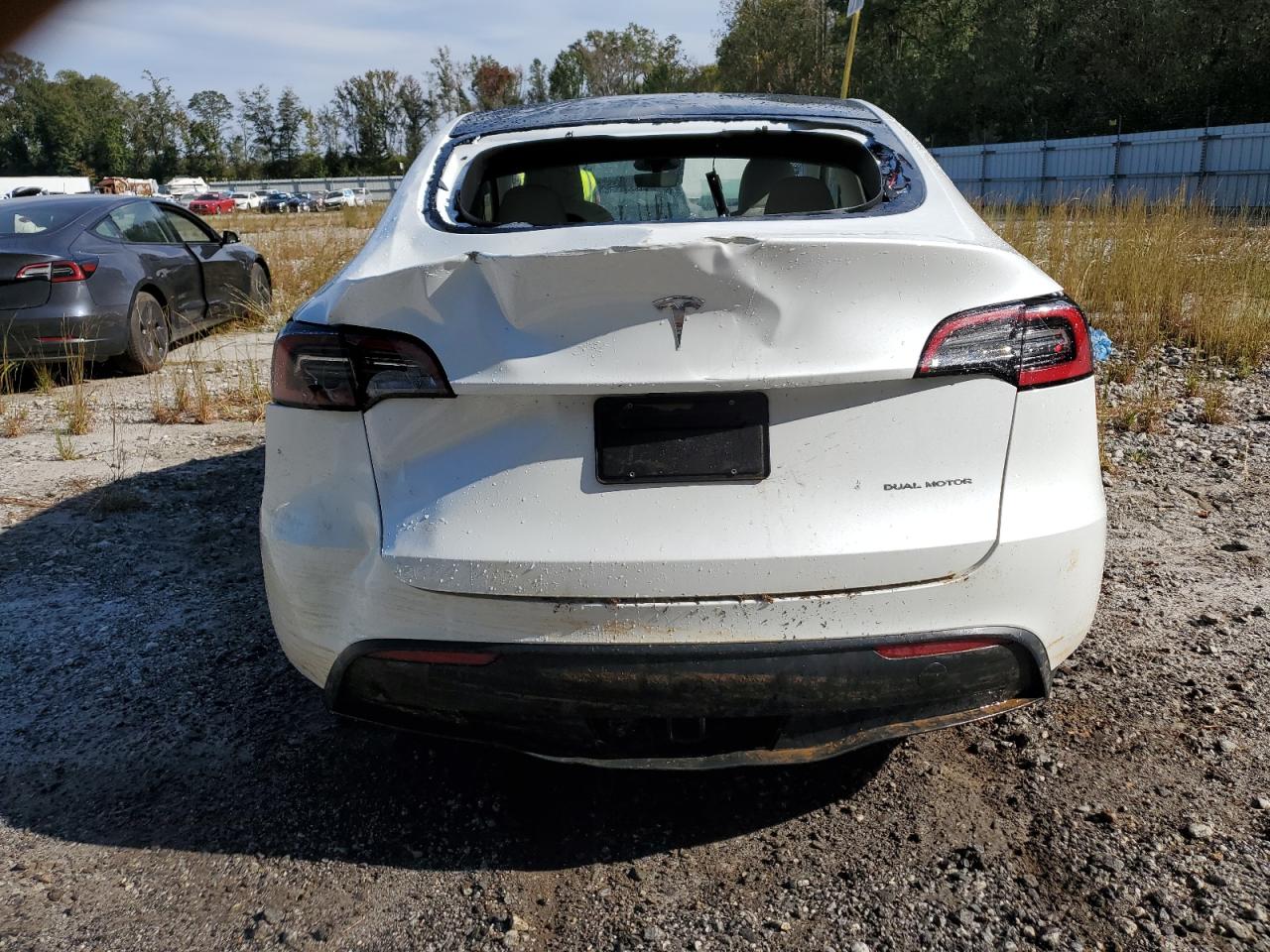 2024 Tesla Model Y VIN: 7SAYGDEE7RF993704 Lot: 74479364