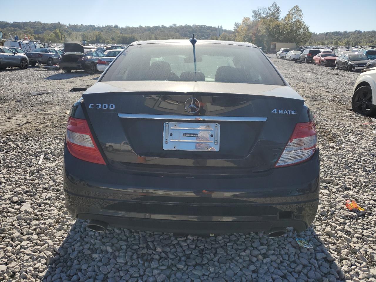 2009 Mercedes-Benz C 300 4Matic VIN: WDDGF81X69R075114 Lot: 76135364