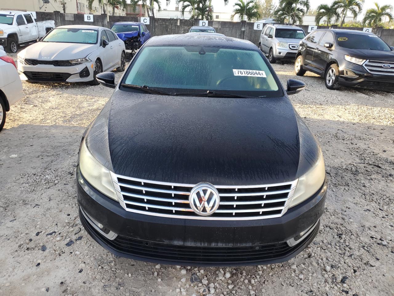 2013 Volkswagen Cc Sport VIN: WVWBN7AN0DE505686 Lot: 76186044