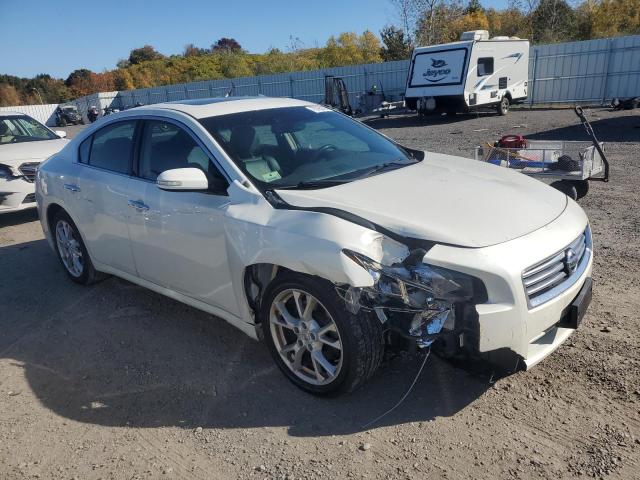  NISSAN MAXIMA 2014 White