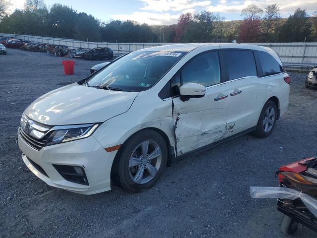 2019 Honda Odyssey Exl