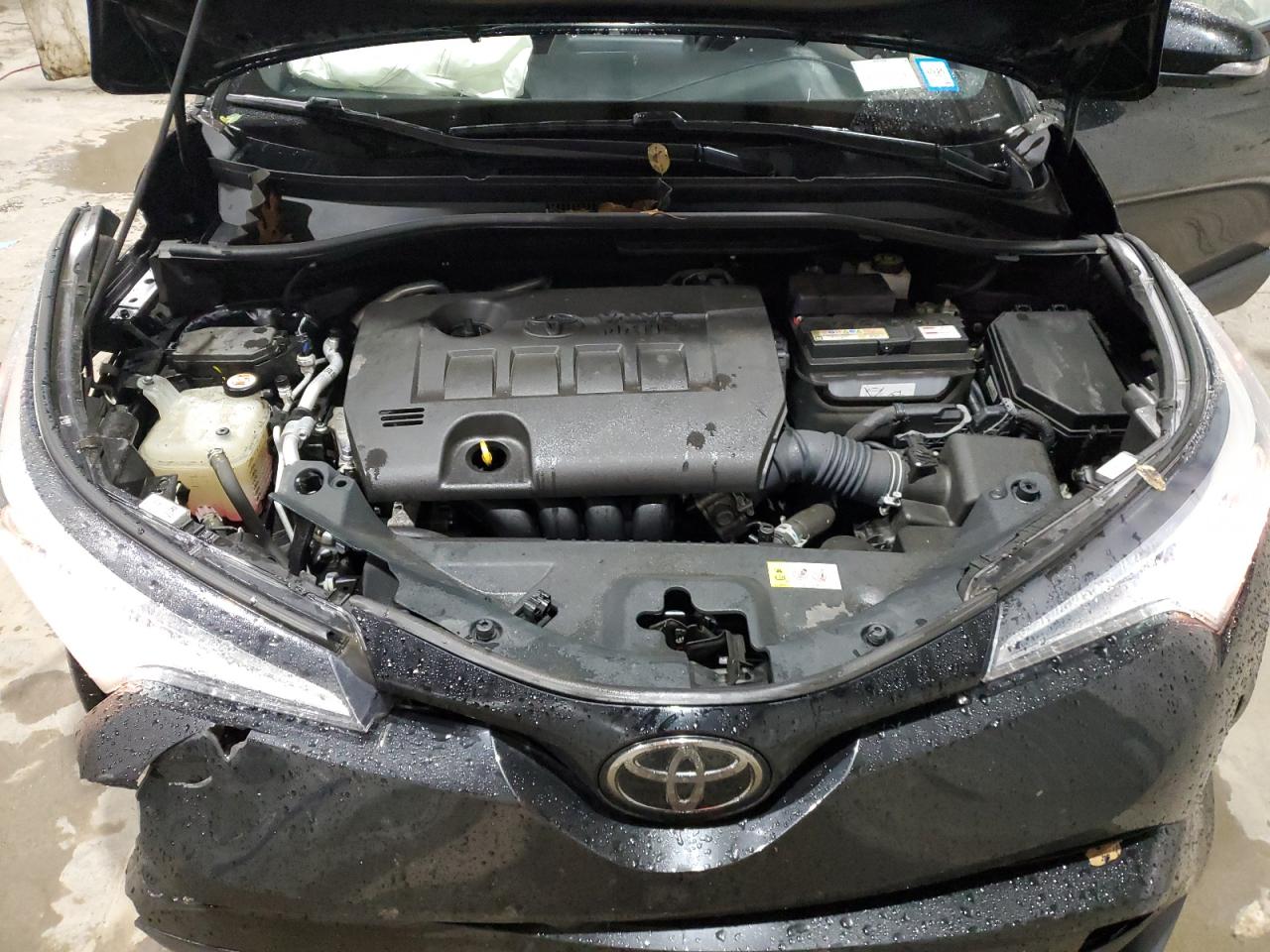 NMTKHMBXXKR088542 2019 Toyota C-Hr Xle