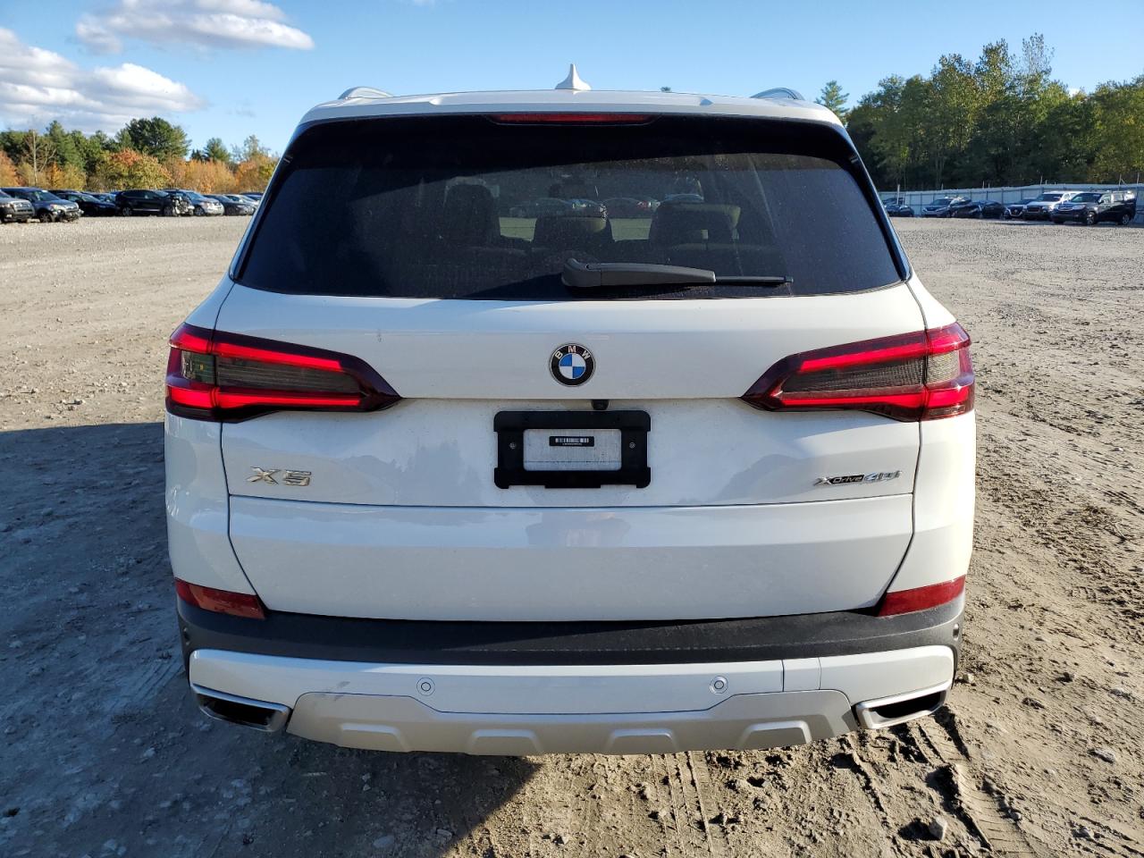 2022 BMW X5 xDrive40I VIN: 5UXCR6C04N9K65569 Lot: 76179864