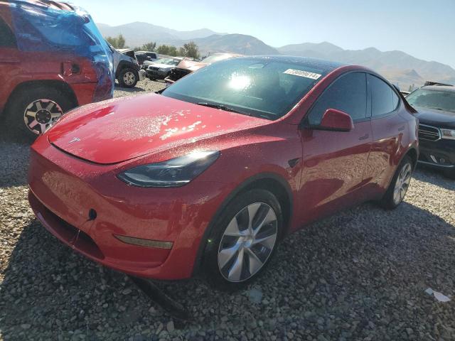 7SAYGDEEXPF714596 Tesla Model Y 