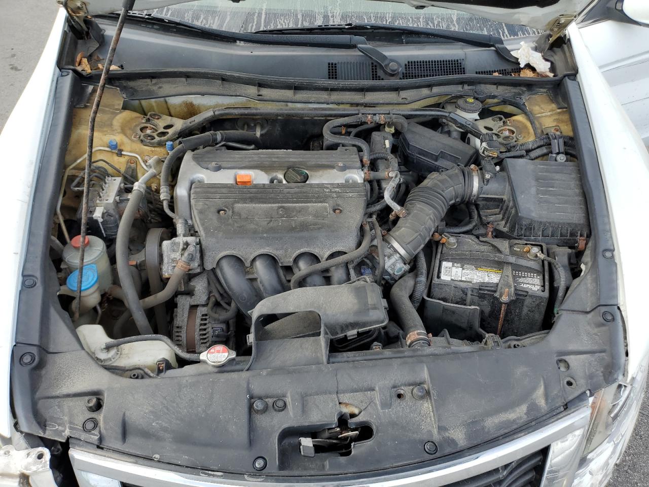 2009 Honda Accord Exl VIN: 1HGCP26869A084335 Lot: 74290654