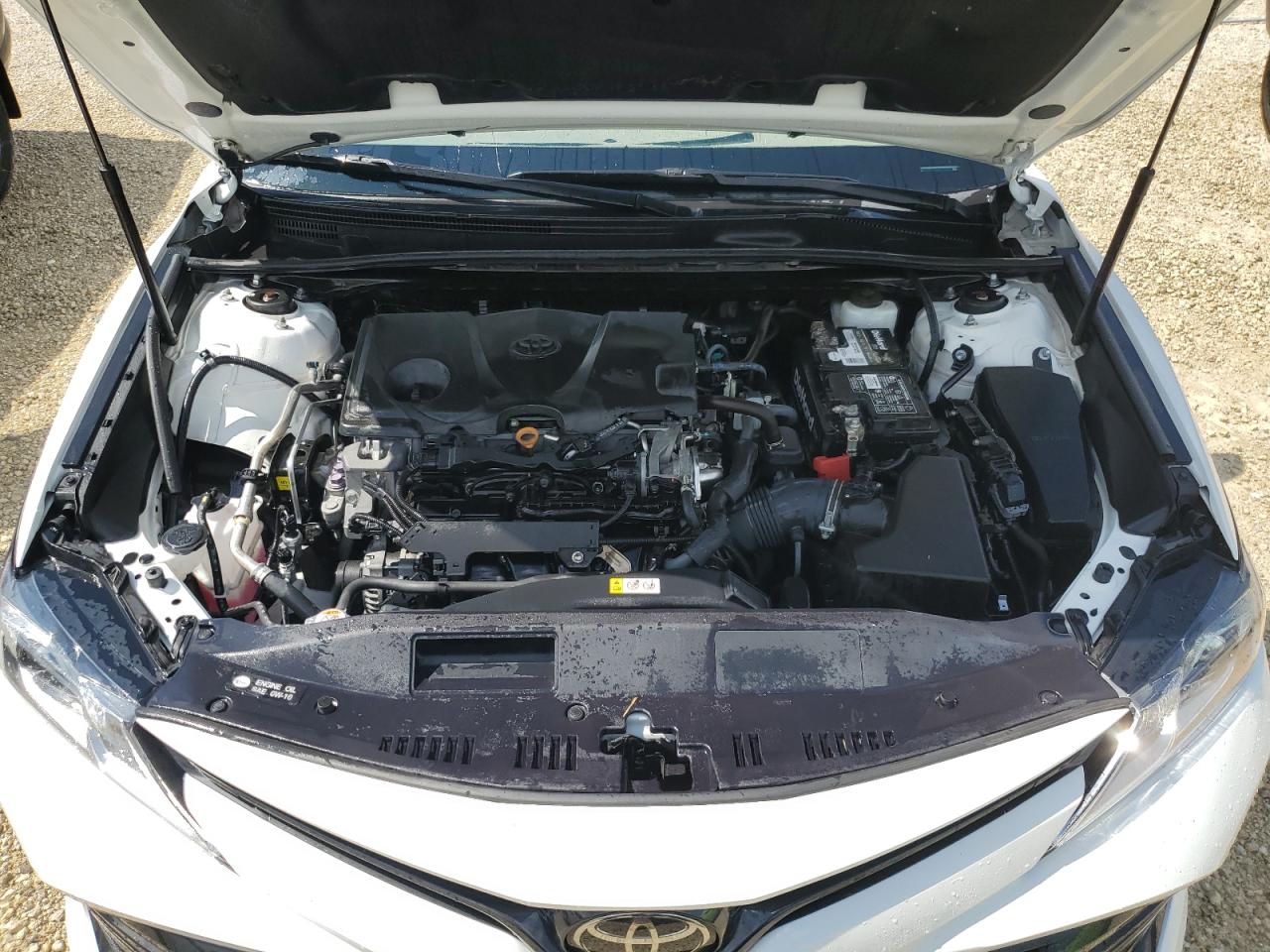 4T1B11HK8KU800649 2019 Toyota Camry L