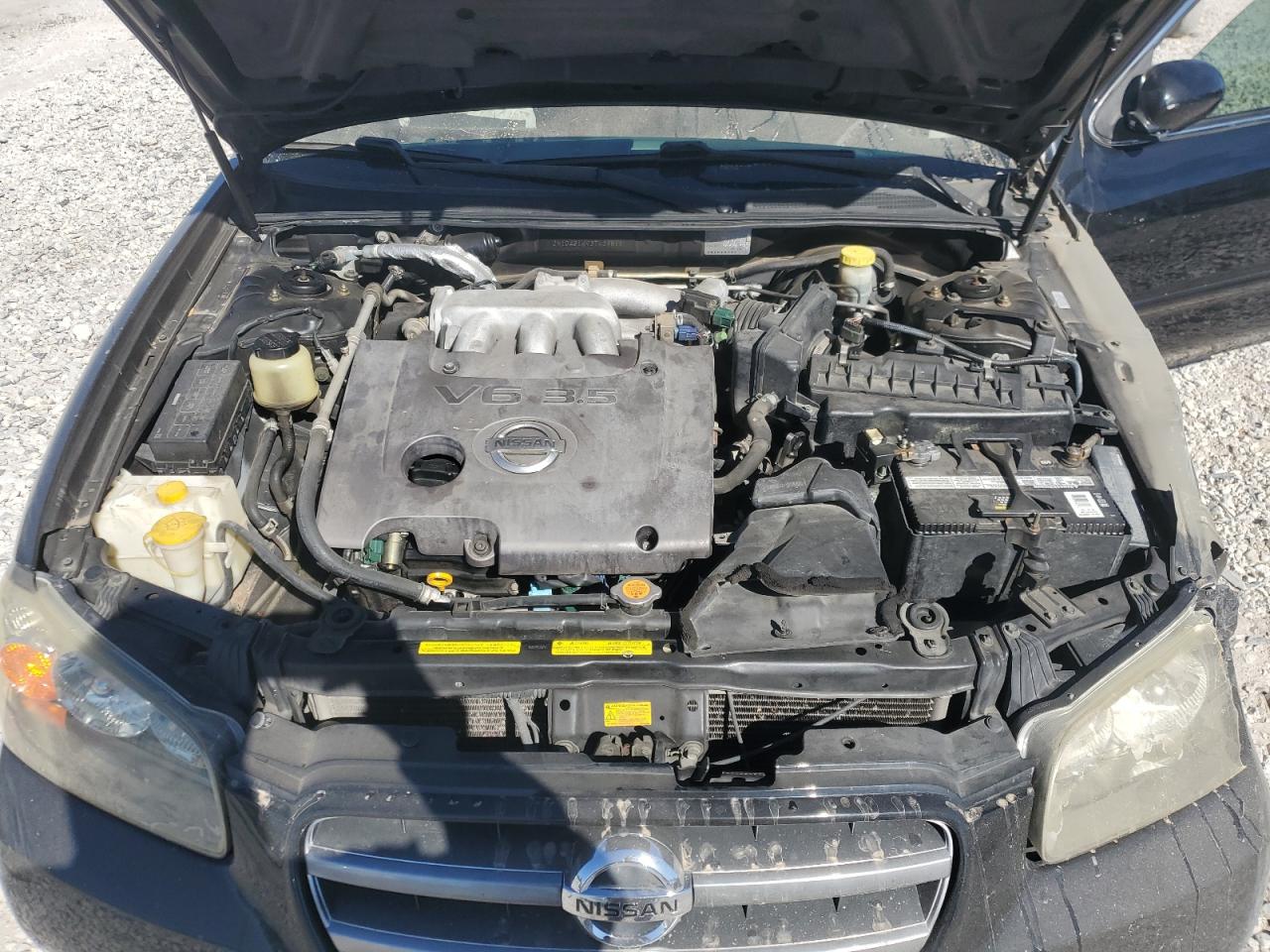 JN1DA31A93T439811 2003 Nissan Maxima Gle