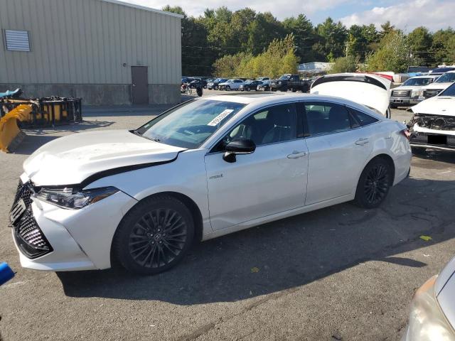 2019 Toyota Avalon Xle