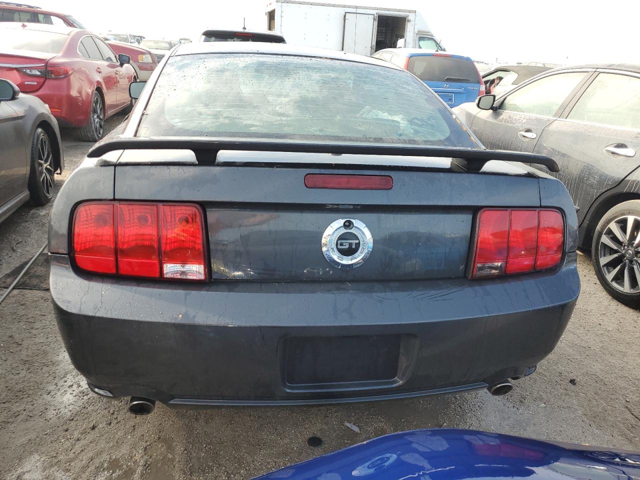 1ZVHT82H895139124 2009 Ford Mustang Gt