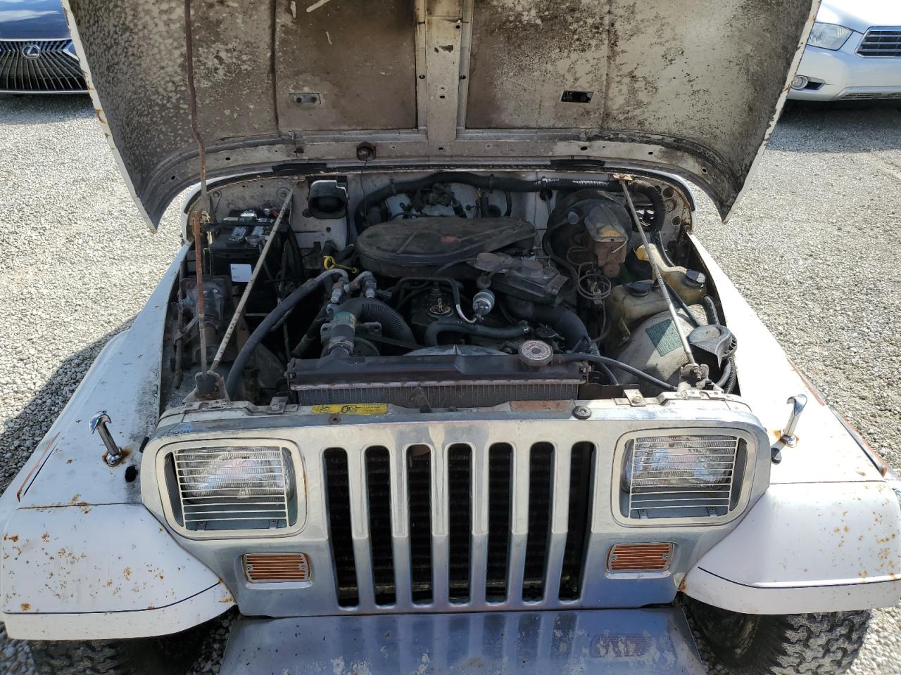 2J4FY39T8KJ130224 1989 Jeep Wrangler / Yj Islander