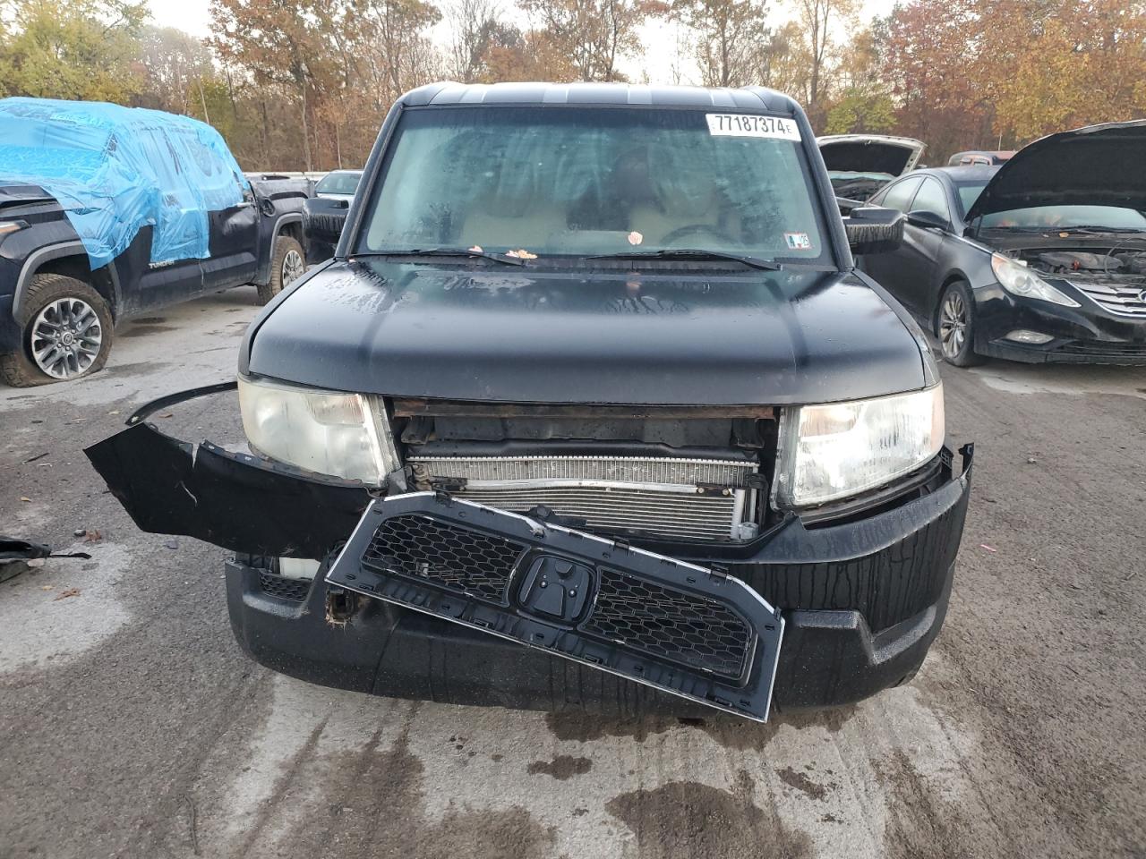 2011 Honda Element - Image 5